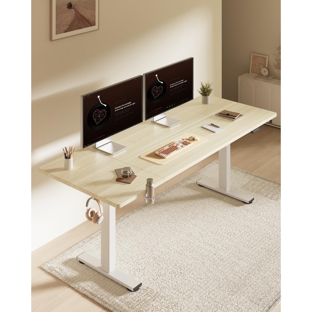 FLEXISPOT 63x32 Inch Electric  - Desk Setup Office review and price