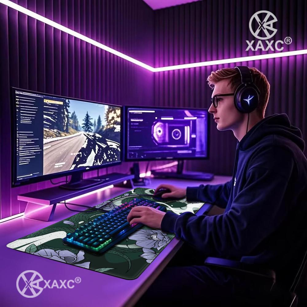 Viper Snake Setup XAXC Mouse P - Desk Setup With Laptop review and price